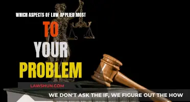 Law Application: Problem-Solving Aspects Explored