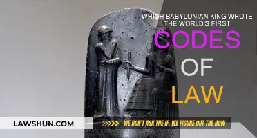 Babylonian King and the First Codes of Law