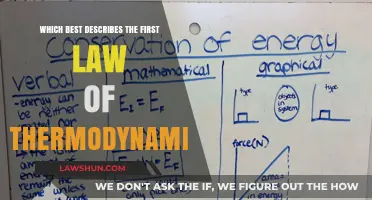 Understanding the First Law of Thermodynamics: Conservation of Energy