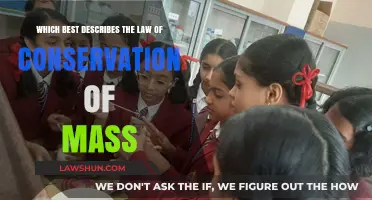 Understanding the Law of Conservation of Mass: Matter's Eternal Balance