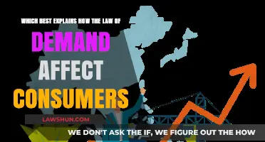 Understanding How the Law of Demand Shapes Consumer Behavior