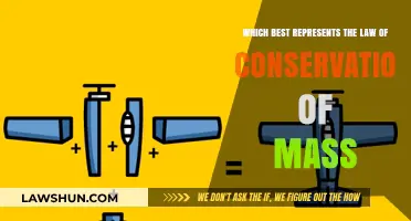 Understanding the Law of Conservation of Mass: Key Principles Explained