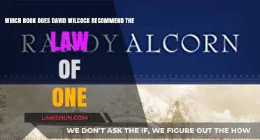 David Wilcock's Top Recommendation: The Law of One Book