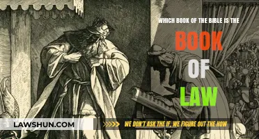 Understanding the Book of Law: Exploring Deuteronomy's Role in Scripture