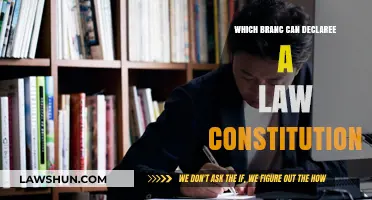 Understanding Judicial Review: Who Decides a Law's Fate?