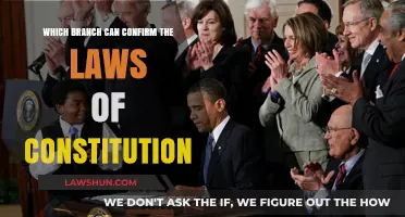 Judiciary: Upholding Constitutional Law and Order