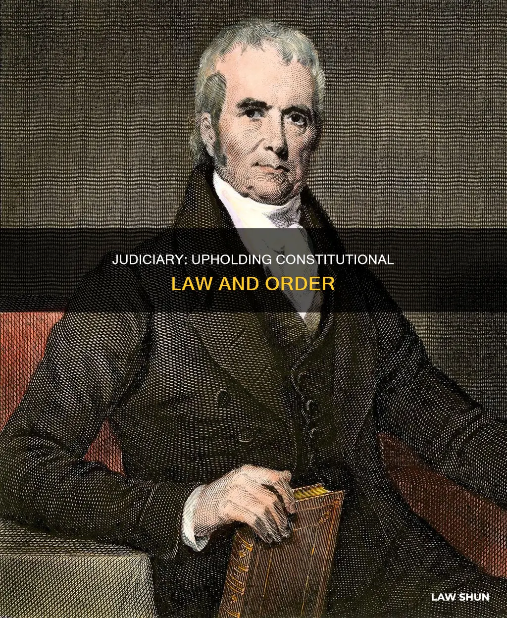 which branch can confirm the laws of constitution