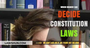 The Supreme Court: Interpreting Constitutionality