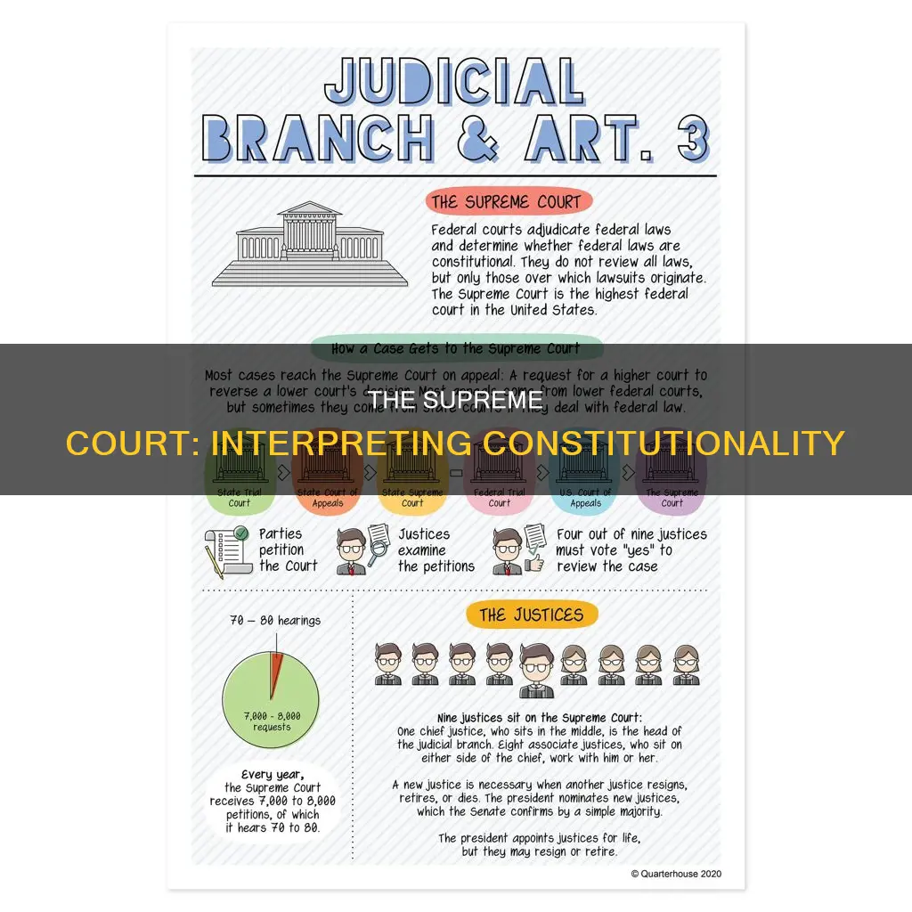 which branch can decide constitutionality laws