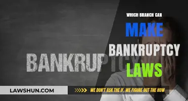 Understanding Bankruptcy Laws: A Judicial Branch Guide