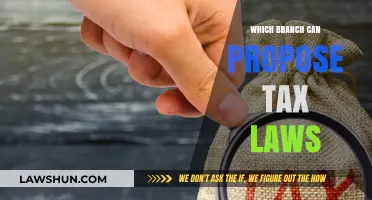 The Power to Propose Tax Laws