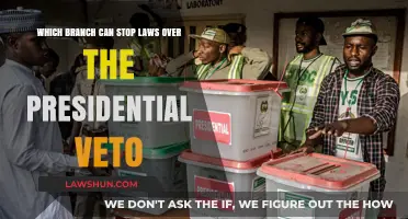 The Supreme Court: Blocking Laws Over Presidential Veto