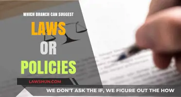 Legislative Branch: Laws and Policy Suggestions
