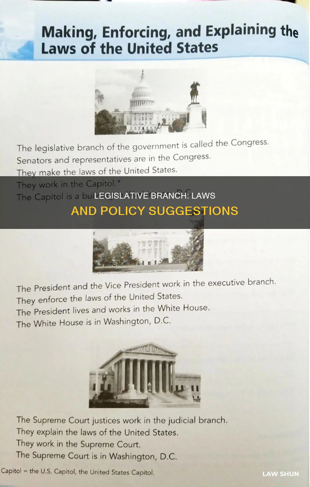 which branch can suggest laws or policies