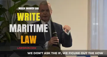 Maritime Law: Which Branch Holds the Pen?