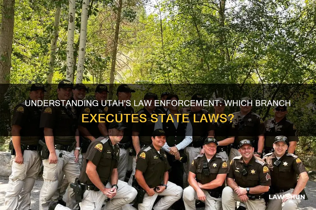 which branch carries out laws in utah