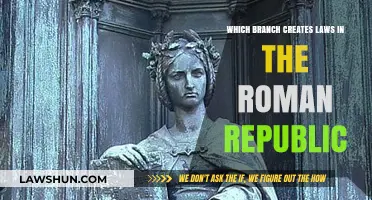The Roman Republic's Legislative Branch