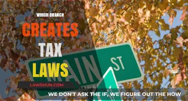 Who Makes Tax Laws and How?