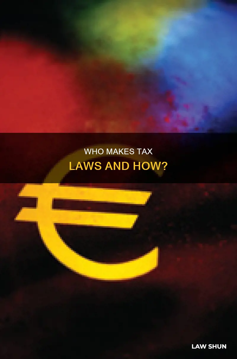 which branch creates tax laws