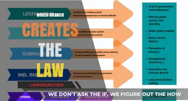 Creating Laws: Understanding the Legislative Branch's Role