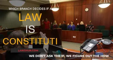 The Judiciary: Upholding the Constitution