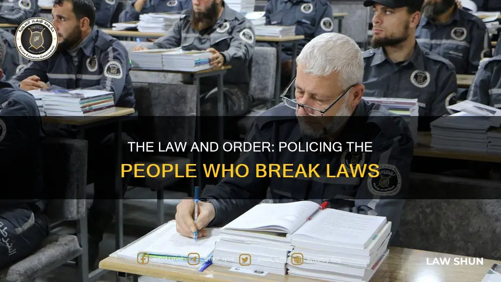 which branch handles people who break the law