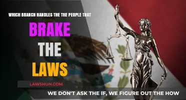 Understanding the Judicial Branch: Handling Lawbreakers and Ensuring Justice