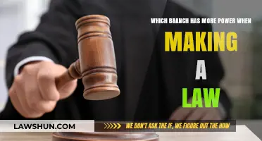 Legislative Power Struggle: Which Branch Holds the Upper Hand?