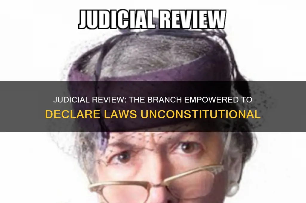 which branch has the power of checking laws unconsitutional