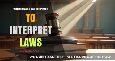 Judicial Authority: The Branch Empowered to Interpret Laws and Ensure Justice