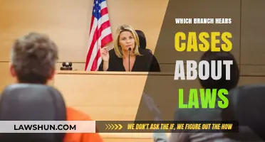 Judiciary: Interpreting Laws and Settling Disputes