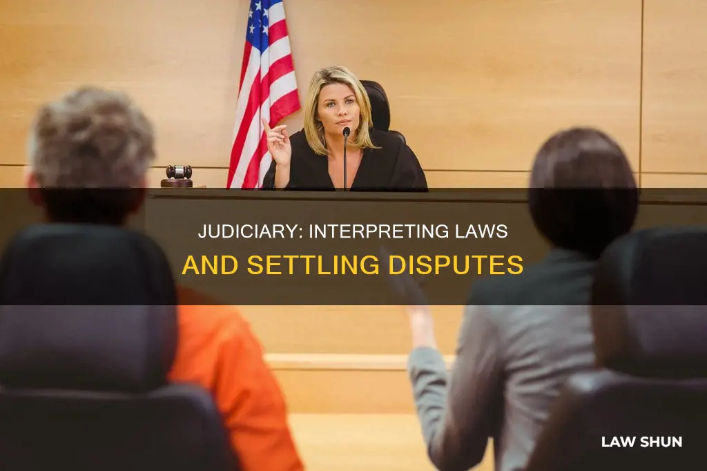 which branch hears cases about laws