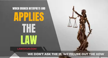 Interpreting Law: The Branch's Role and Responsibility