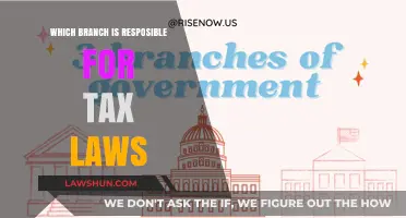 Understanding Tax Laws: The Legislative Branch's Role