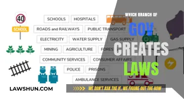 Who Makes the Laws?