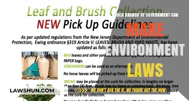 Environmental Law: Understanding Legislative Power