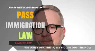 Who Can Pass Immigration Laws?