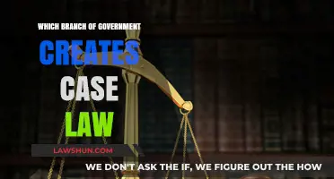 Case Law: Understanding the Judicial Branch's Power