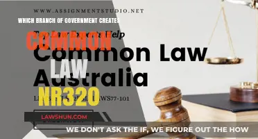 How Common Law is Created: A Government Branch Guide