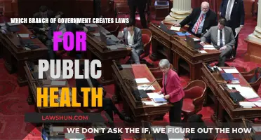 Creating Public Health Laws: Which Branch of Government?