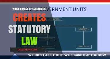 Understanding Statutory Law: The Legislative Branch's Role