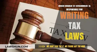 Who Writes Tax Laws?