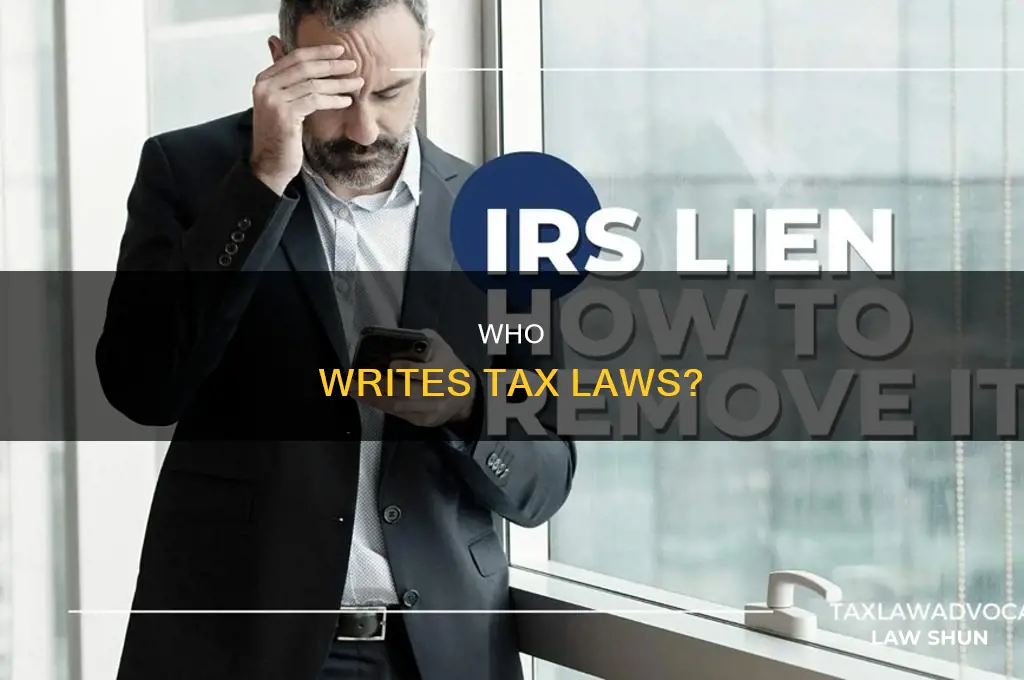 which branch of government is responsible for writing tax laws