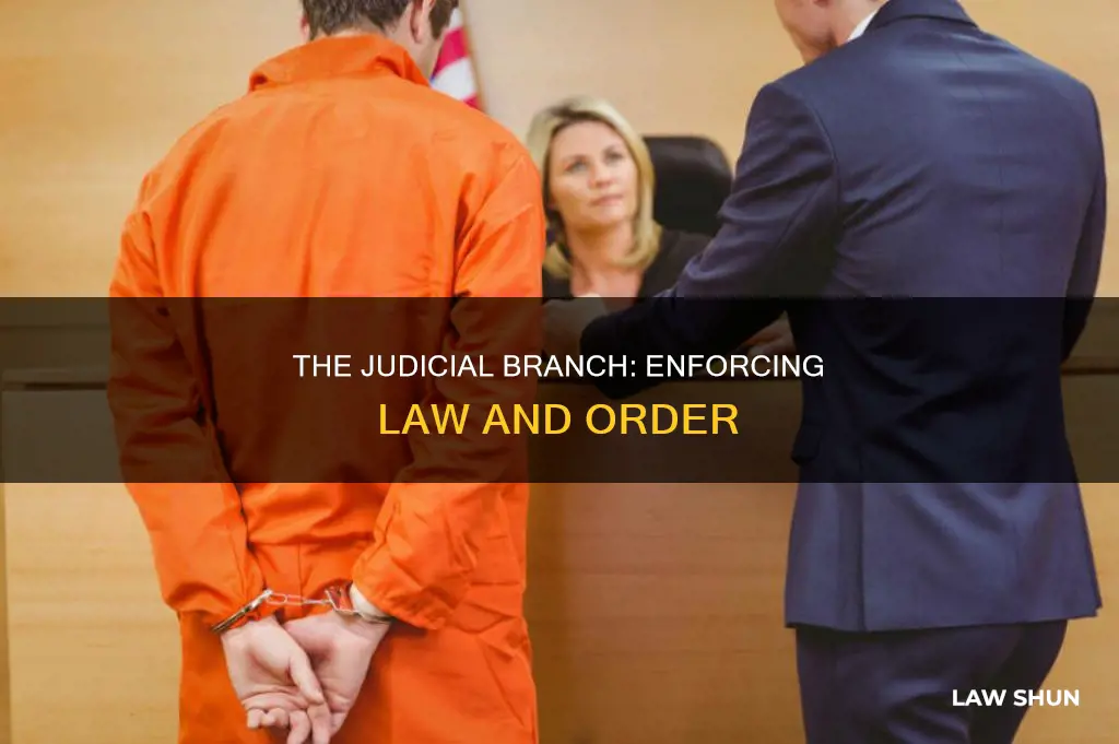 which branch of government sentences those who break the law