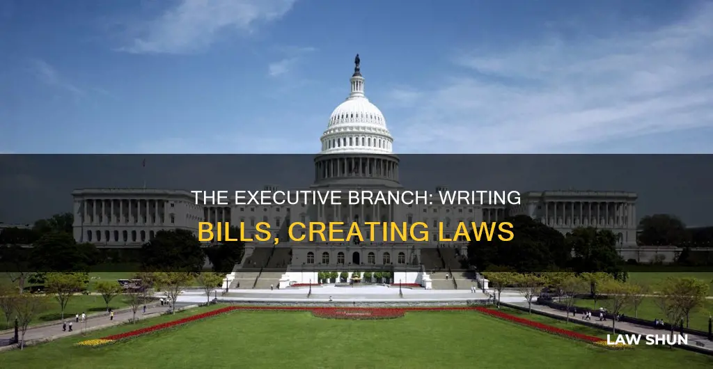 which branch of government writes bills that become laws