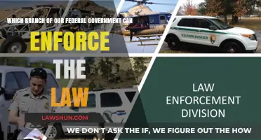 The Executive Branch: Law Enforcement and You