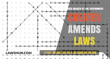 The Legislative Branch: Creating and Amending Laws