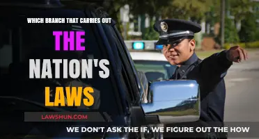 Understanding the Executive Branch: Enforcing and Implementing National Laws