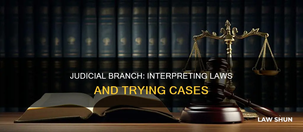 which branch tries cases under the laws