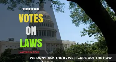 Understanding the Legislative Branch: Who Votes on Laws and How